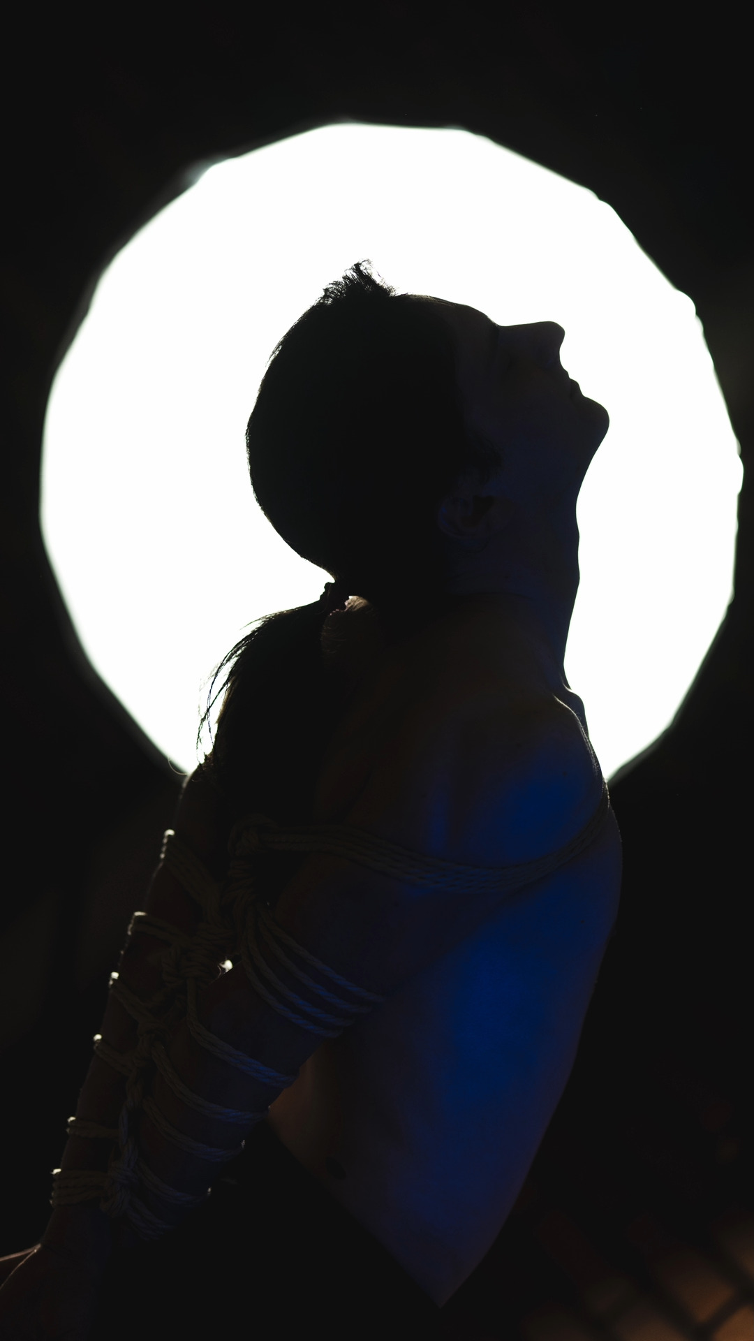 Silhouette against moon, shibari portrait